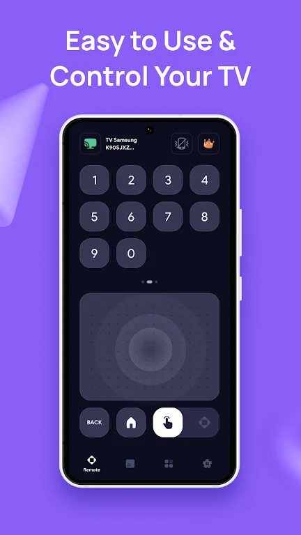 Universal TV Remote Controller