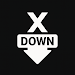 XDown - X Tweet Video Saver