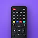 Universal TV Remote Controller