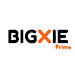 Bigxie Prime Peliculas series