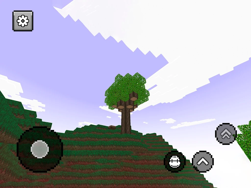 Block Craft World 3D