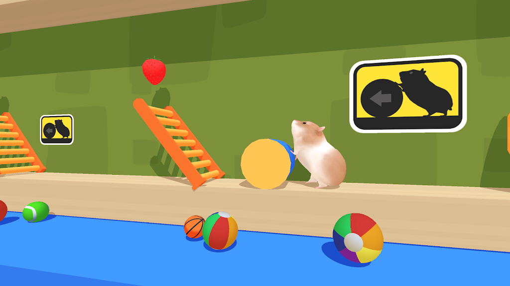 Hamster Maze