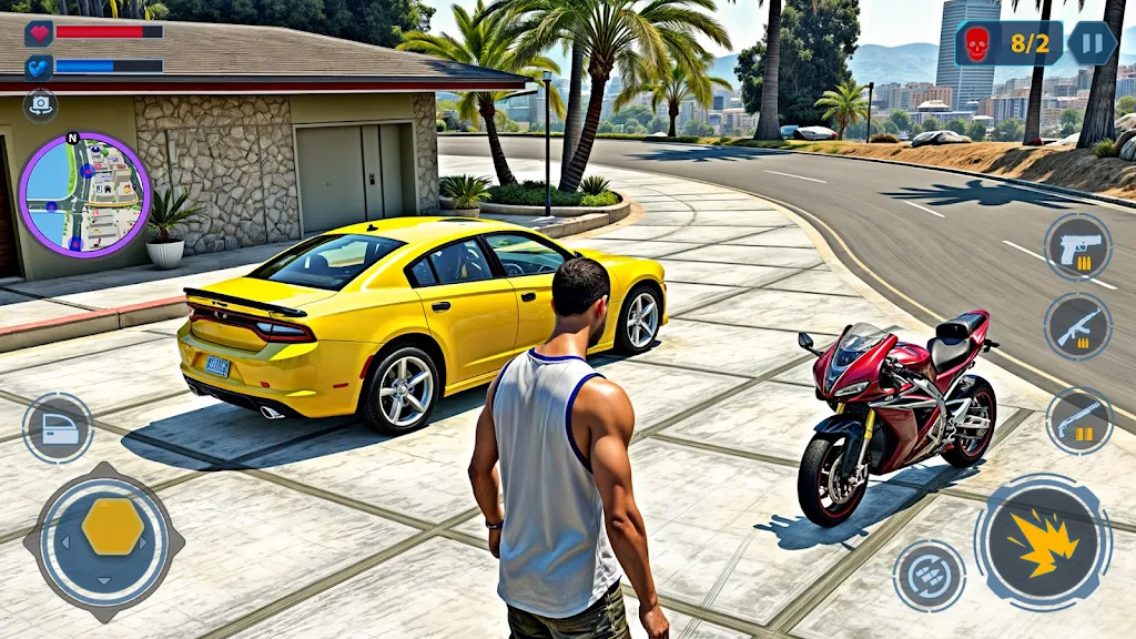 Car Thief Game & Stealing Cars