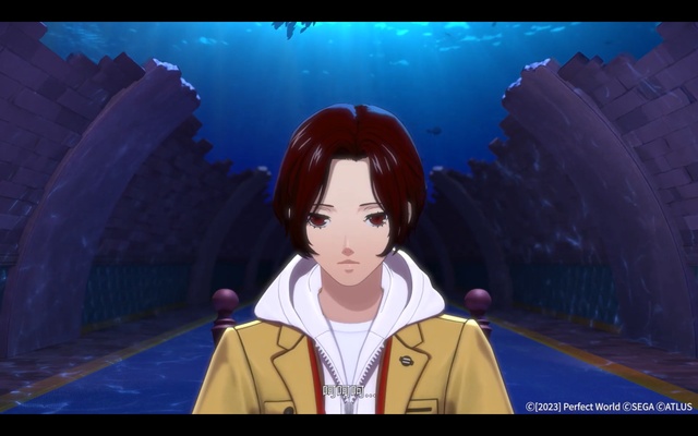 Persona 5: The Phantom X