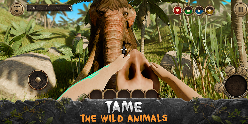 Survival Island: Survivor EVO