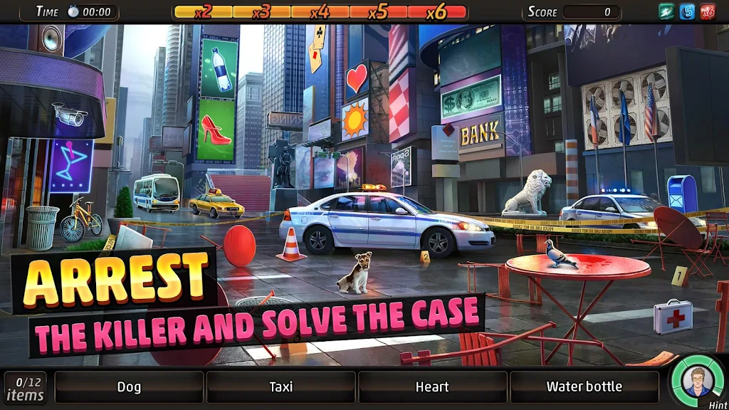 Criminal Case