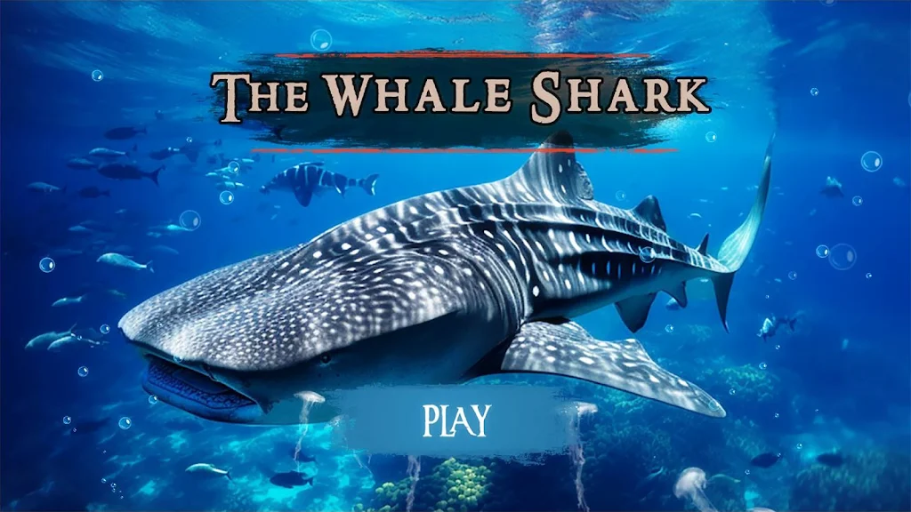 The Whale Shark