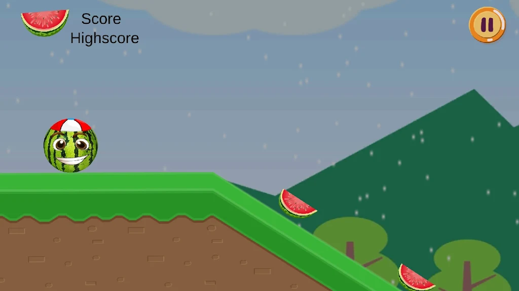 Watermelon Go