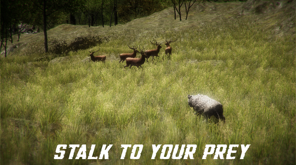 Wild Jaguar Simulator 3D