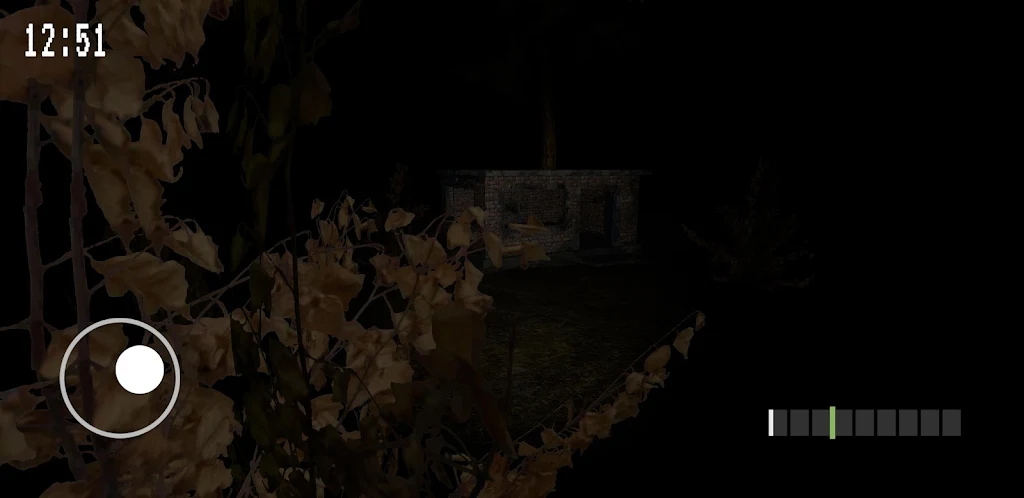 Don't Scream at Night