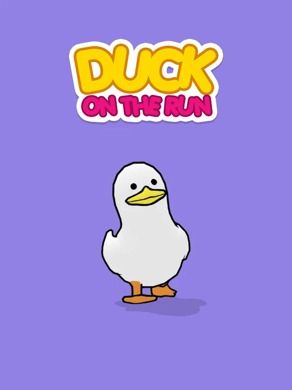 Duck On The Run