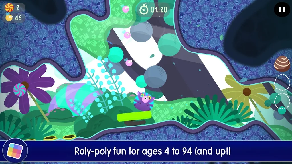 The Big Journey: Cute Cat Adve