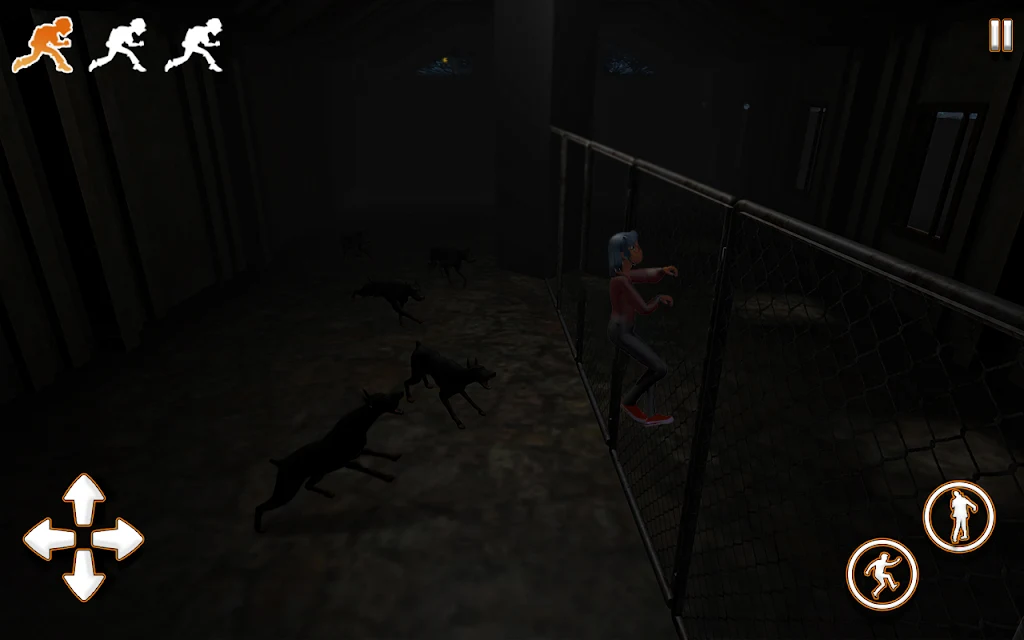 Inside Apocalypse Forest