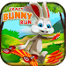 bunny Game -skateboard Game