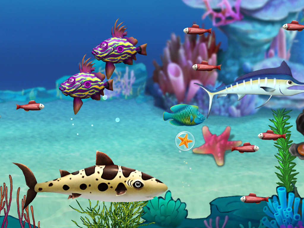 Let Me Eat 2 : Small To Big