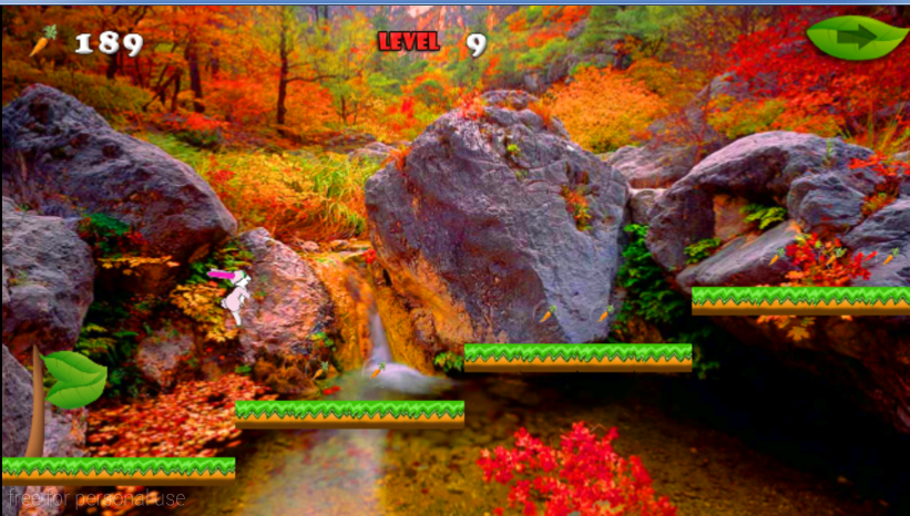 the bunny game : the jungle