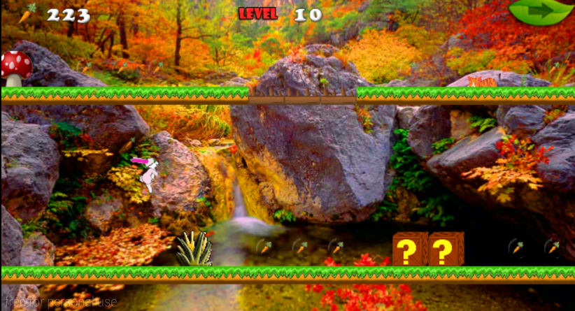 the bunny game : the jungle