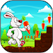 Bunny Run