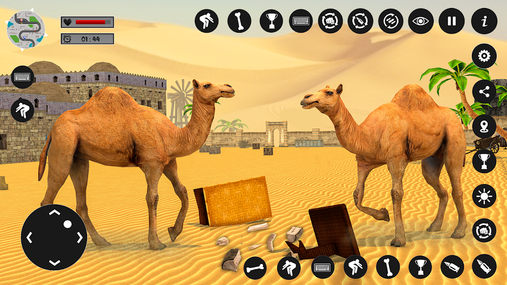 Camel Family Life Simulator