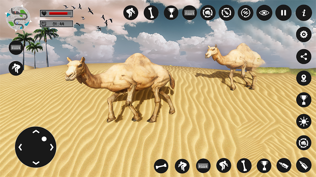 Camel Family Life Simulator