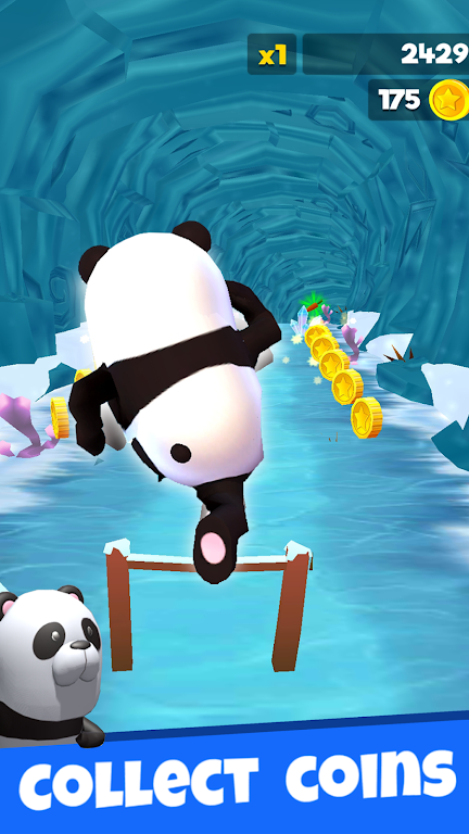 Jungle Run Animal Running Game