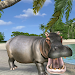 Wild Hippo Beach Simulator