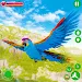 Parrot Bird Simulator Game