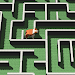 3D Dog Maze Puzzle Game