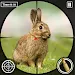 Wild Rabbit Hunt Shooting Game