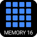 16 MEMORY FRUITS