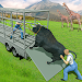 Wild Animal Truck Simulator
