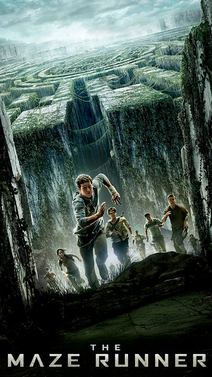The Maze Runner