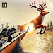 Deer Hunter Animal Hunting 3D