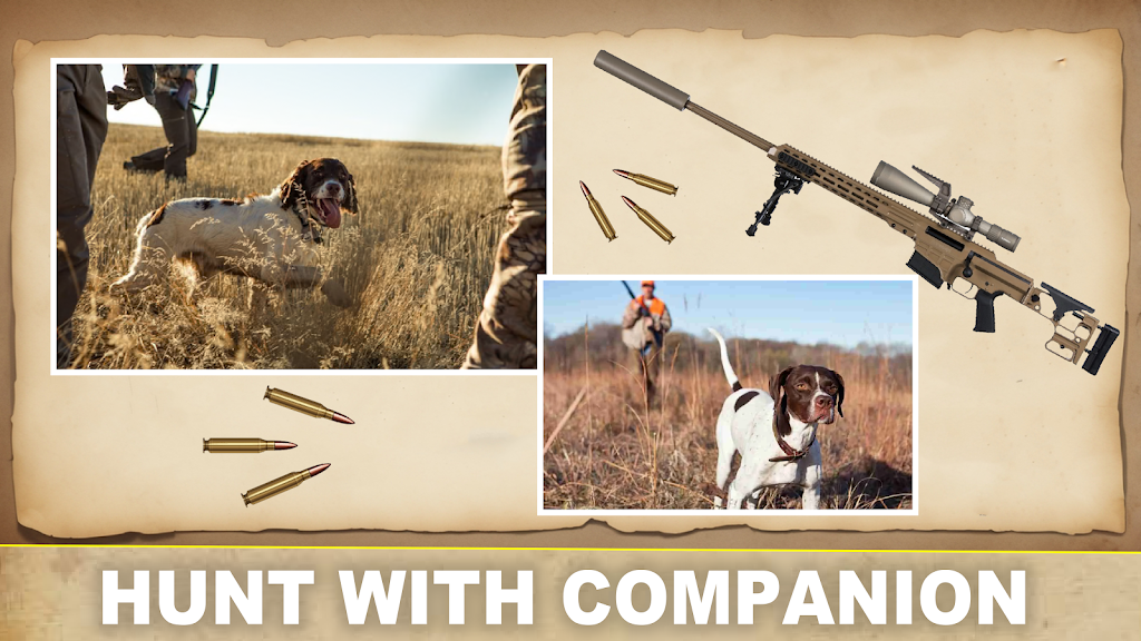 Desert Birds Sniper Shooter 3D