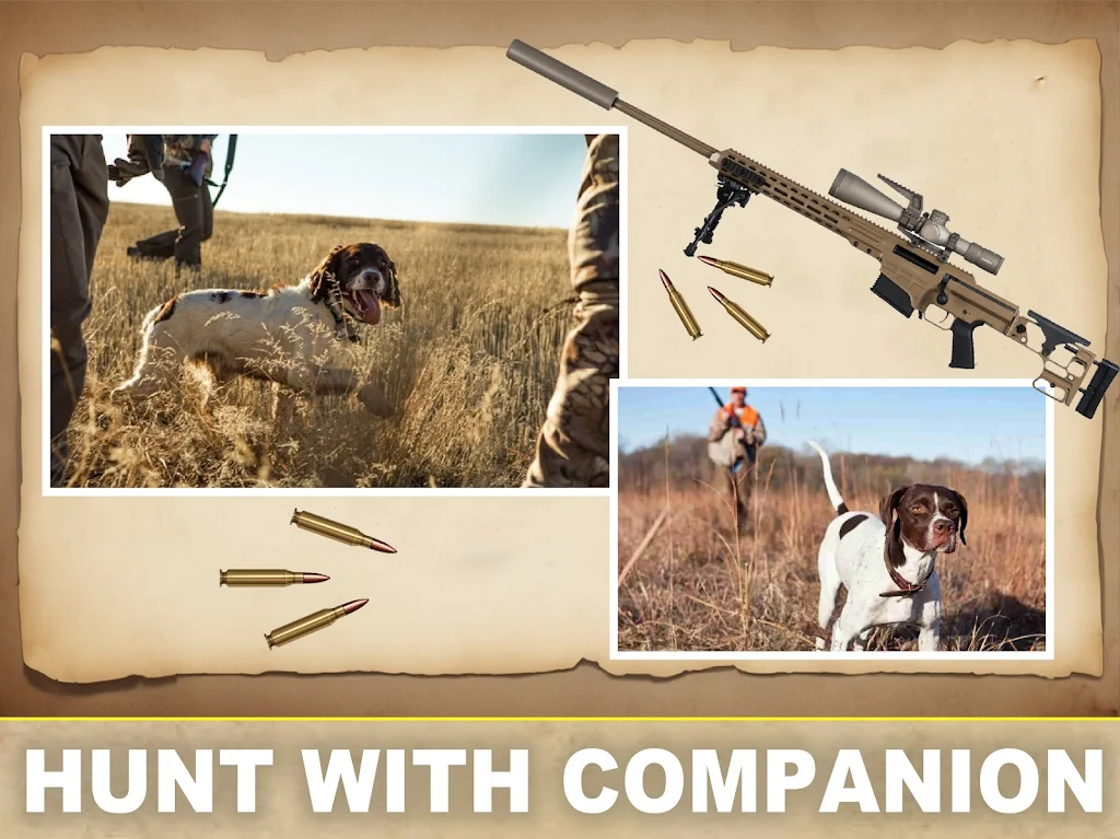 Desert Birds Sniper Shooter 3D