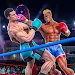 Punch Boxing Game: Ninja Fight