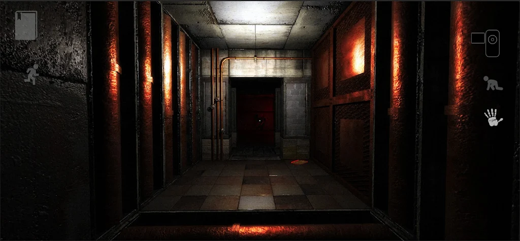 the Light (Remastered Edition)