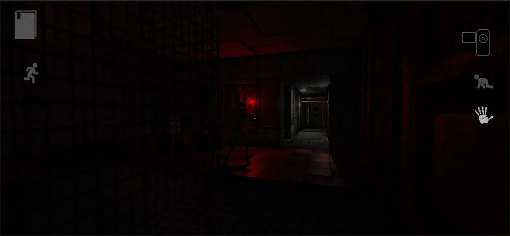 the Light (Remastered Edition)