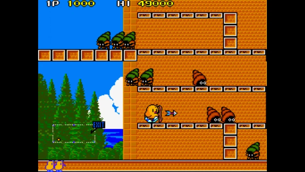 The Newzealand Story