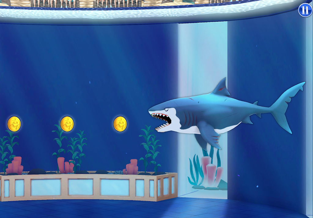 My Shark Show