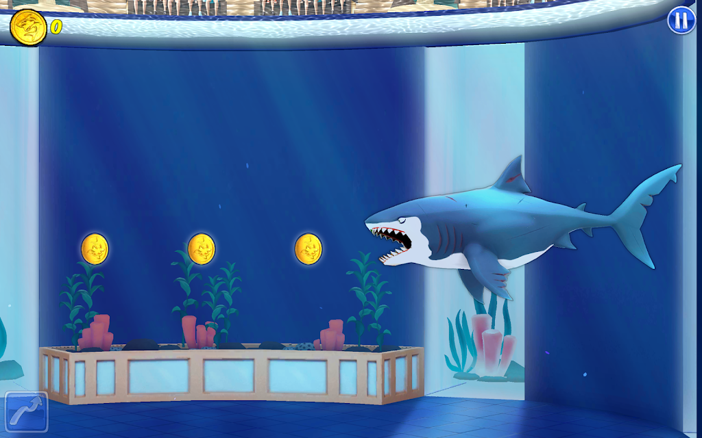 My Shark Show