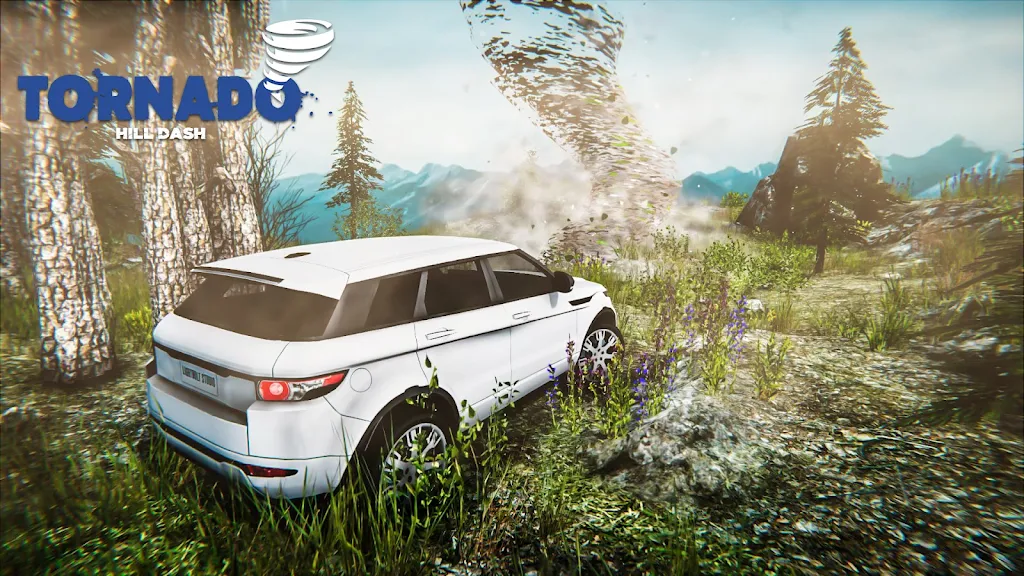 Tornado 3D Game: Hurricanes