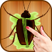 Cockroach Smasher Game