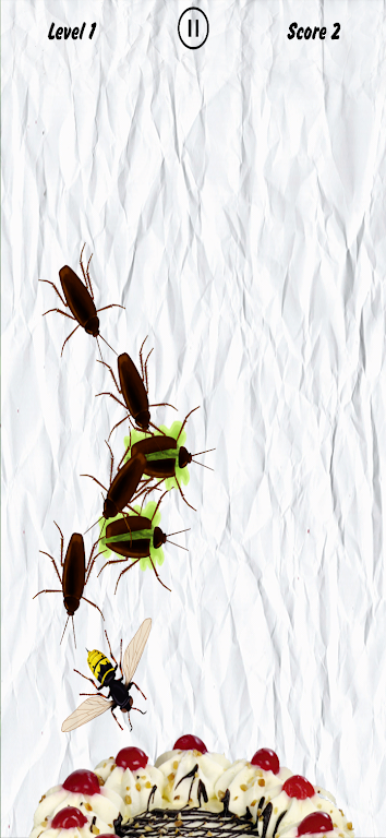 Cockroach Smasher Game