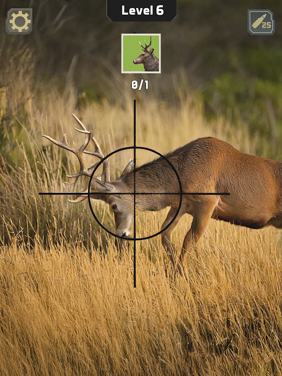 Animal Hunter: Wild Shooting