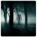 Slenderman Damn Forest