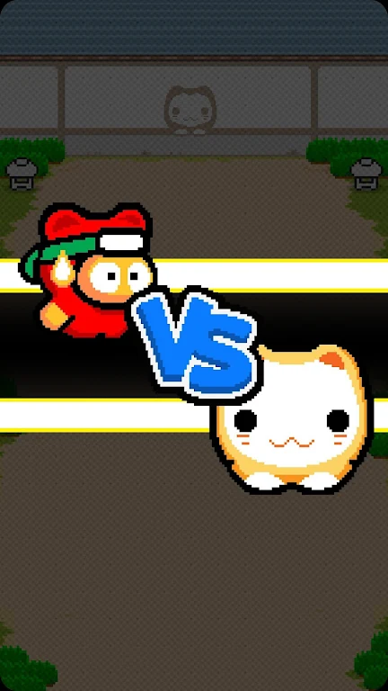 Ninja Spinki Challenges