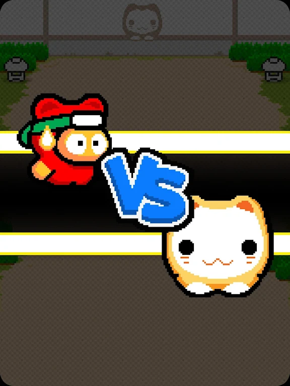 Ninja Spinki Challenges