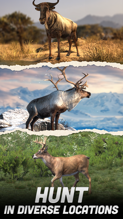 Hunting Battle: Hunter Game