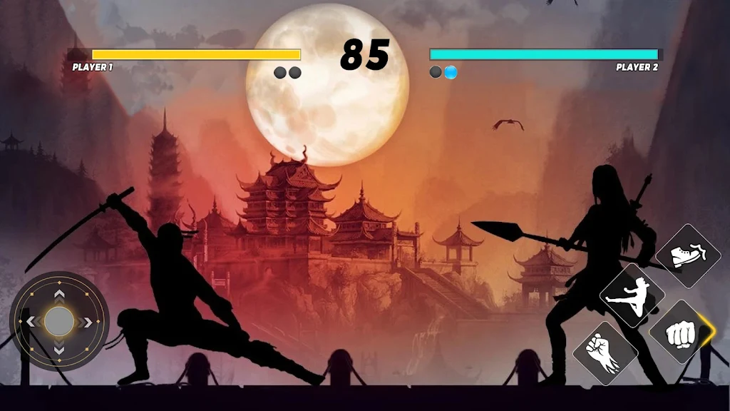 Sword Shadow Fighting Game 3D